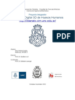 Informe PI NOBILE PDF