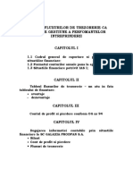 Abloul Fluxurilor de Trezorerie Ca Model de Gestiune A Perfomantelor Intreprinderii PDF