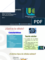 Células PDF