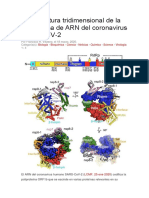 La Estructura Tridimensional de La Polimerasa de ARN Del Coronavirus SARS