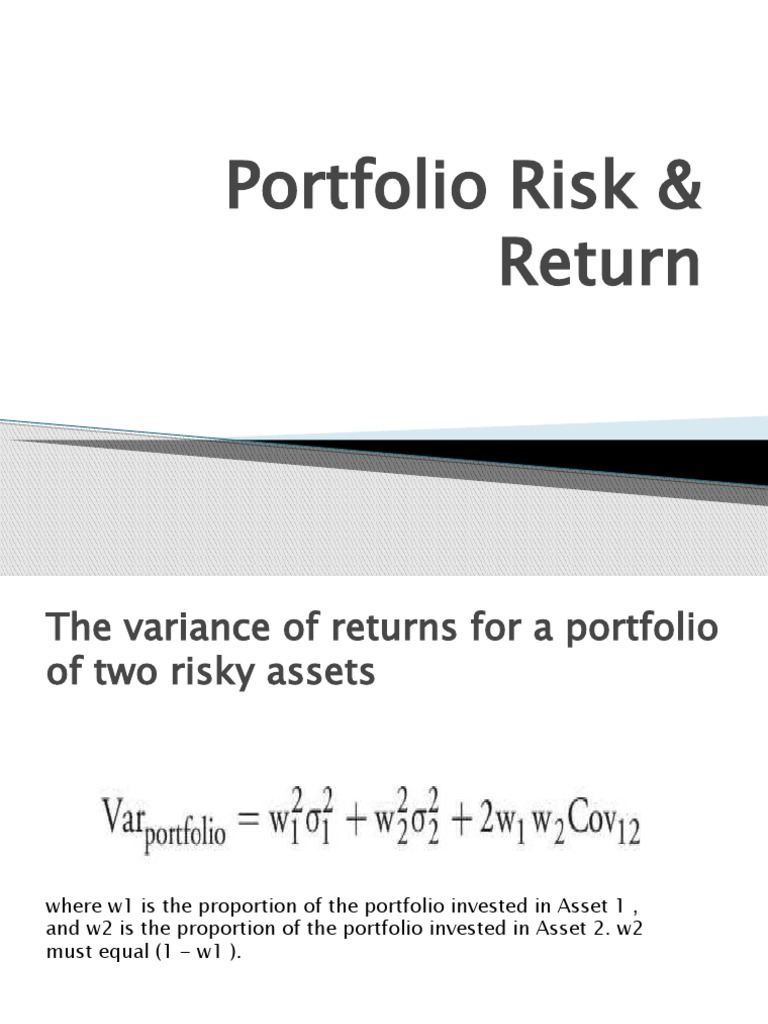 Portfolio Risk and Return Analysis | PDF | Capital Asset Pricing Model ...