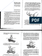 Pepe - Carrol - 52 Amantes 1º Parte PDF