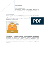 Elementos de Los Organigramas