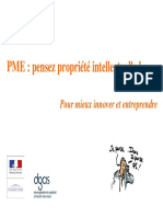 Guide Pme Pensez Pi PDF