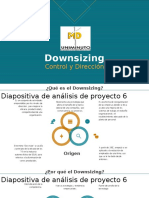 Downsizing exp.pptx