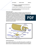 Cuestionario Seminario 8