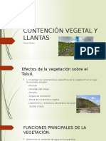 CONTENCIÓN VEGETAL Y LLANTAS