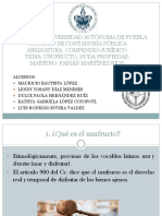 Usufructo PDF