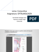 352175945-ConJunTiva.pptx