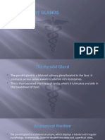 Salivary Glands