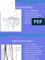 Meridian Paru Titik Akupunktur