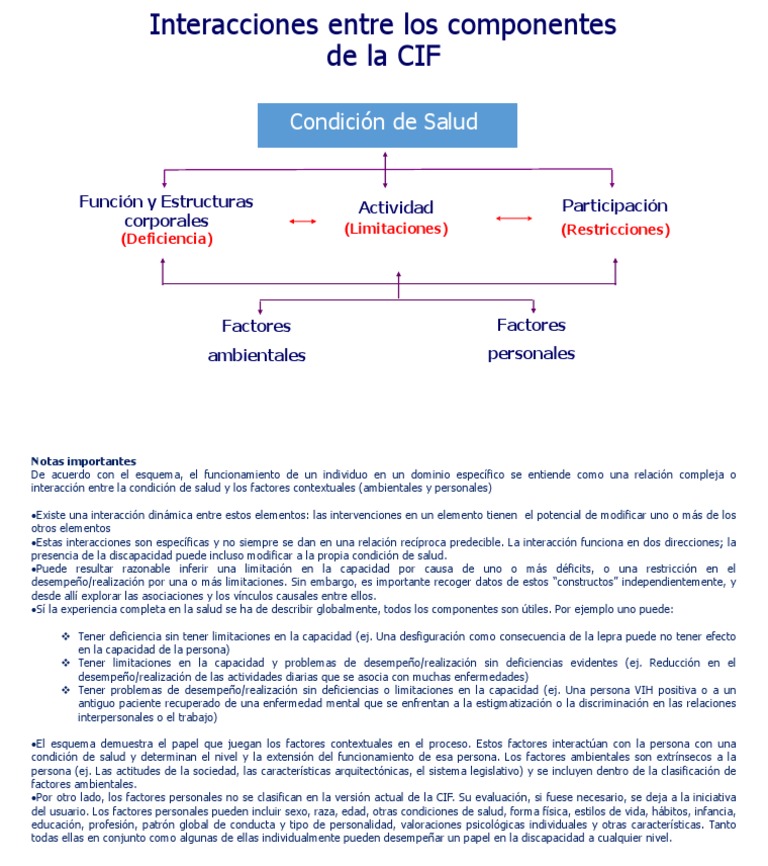 Interaccion-Componentes CIF | PDF | Invalidez | Neurociencia
