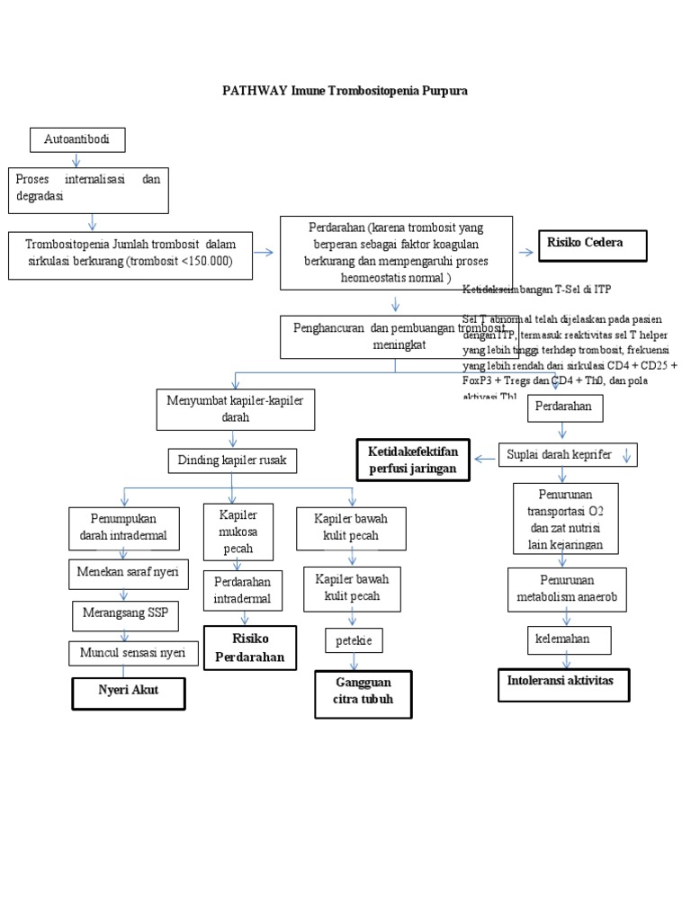 Pathway Trombositopenia dan Askep ITP | PDF