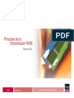 182587359-1-Principes-WDM-v2.pdf