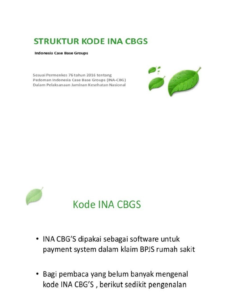 Inacbgs Slide | PDF | Pengembangan Diri | Kesehatan Holistik