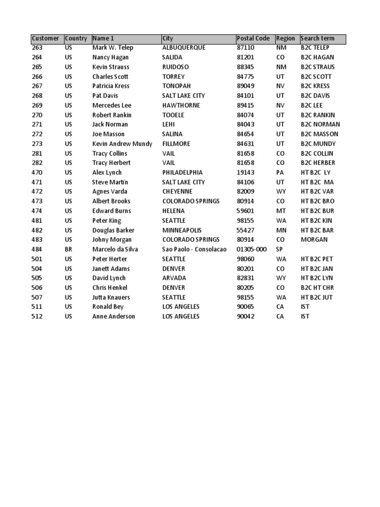 SAP Customer Master Data List For SAP MM PDF
