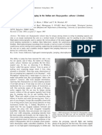 Urbani1994 PDF