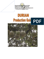 Durian Production Guide