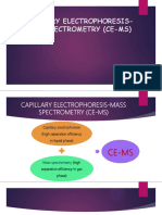Capillary Electrophoresismass Spectrometry