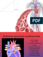 Igiena Sistemului Circulator