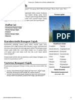 Rumput Gajah PDF