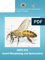 Insect Morphology and Systematics PDF