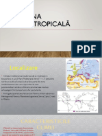 Info Despre Zona Subtropicală PDF