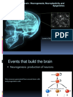 Neurogenesis, Neuroplasticity and Epigenetics IF