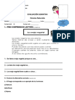 Prueba Ciencias Naturales Unidad I 2018