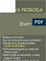 Zivot Biljke Maca