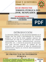 Guia para Elaboracion de Proyectos de Inversión Publica Area 1. Alexandra Guerron