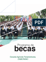 Programa-Becas-2019.pdf