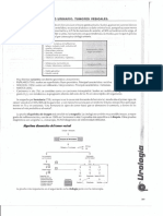 Urologia.pdf