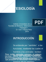 Sentidos: Estesiología