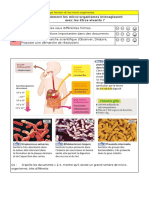 t3c13a1 - dm interactions micro-organismes