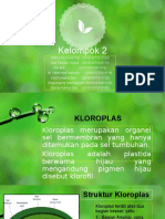 Fotosintesis, cHLOROPLAST kELOMPOK 2