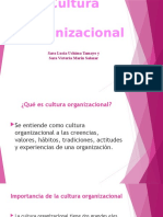 Cultura Organizacional 