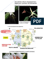 Reproduction Angiospermes 2018