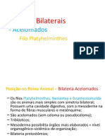 Rei Animal_Platelm e Nematel