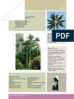 Anexo 1-Fichas Especies PDF