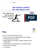 EXCI-360 UpperMotorNeuron 2020