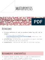 Hematopoyesis: Proceso de formación de células sanguíneas