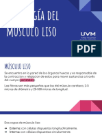 Fisiologia Del Musculo Liso