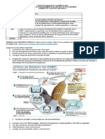 Procesos de replicación, transcripción y traducción del ADN