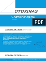 Intoxicacion Por Zearalenona en Cerdos