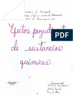 Efectos Perjudicantes de Sustancias Quimicas.pdf