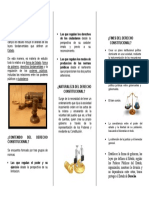 Triptico Derecho Constitucional