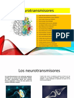 NEUROTRANSMISORES