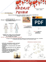 Masaje Tuina Indorgrafia Umb PDF