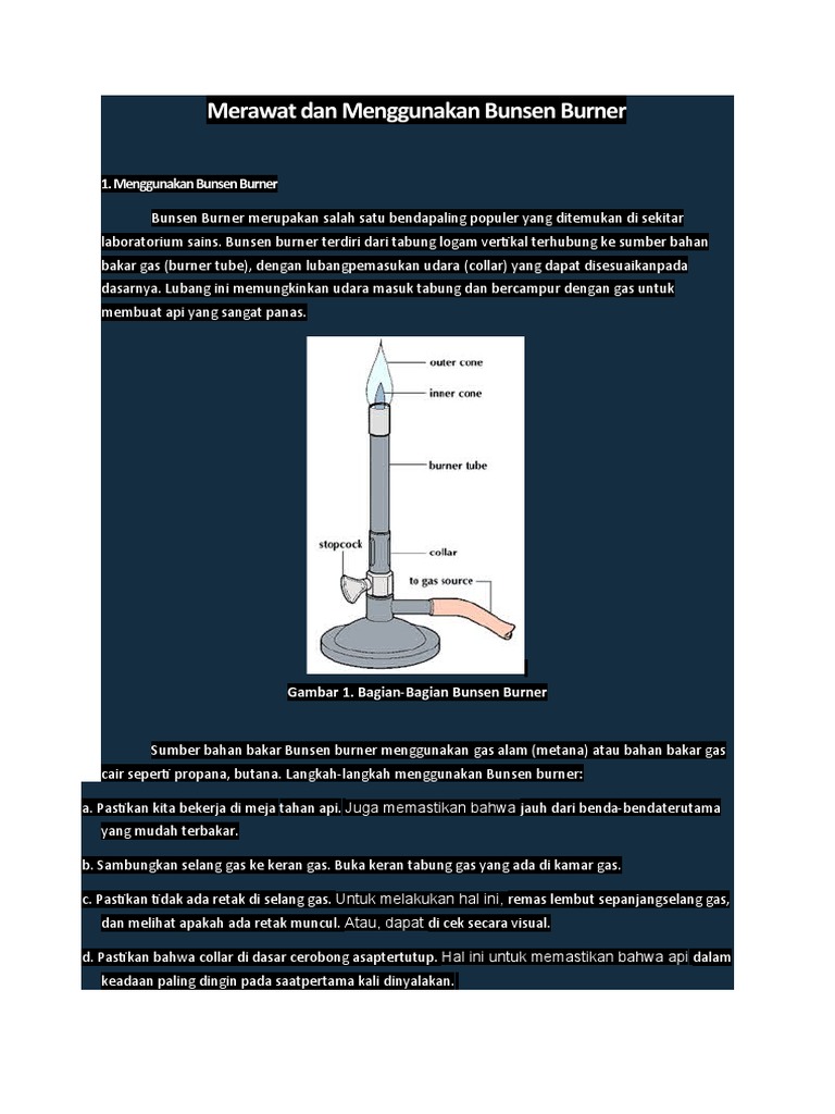 M. Bunsen | PDF